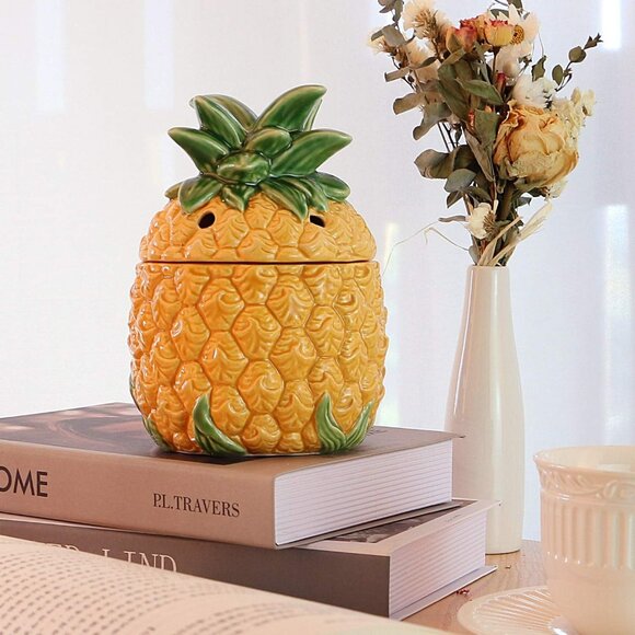 Wax Melt Warmer for Scented Wax Electric - Tropical Pineapple Design with Cerami - Picture 1 of 9